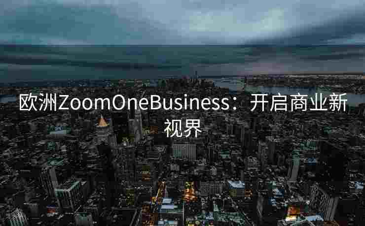 欧洲ZoomOneBusiness：开启商业新视界
