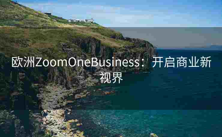 欧洲ZoomOneBusiness：开启商业新视界